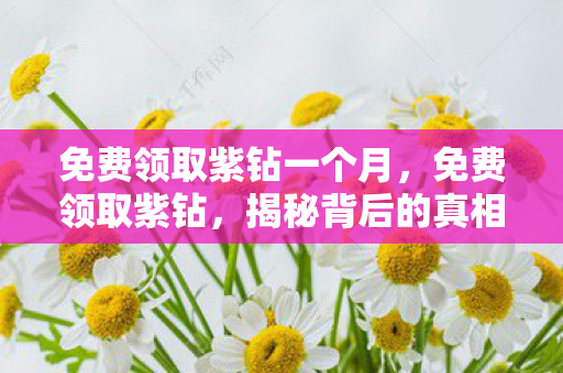 免费领取紫钻一个月，免费领取紫钻，揭秘背后的真相与风险