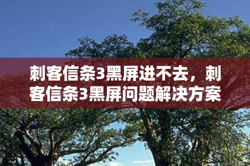 刺客信条3黑屏进不去,刺客信条3黑屏问题解决方案 刺客信条3黑屏进不去,刺客信条3黑屏问题解决方案