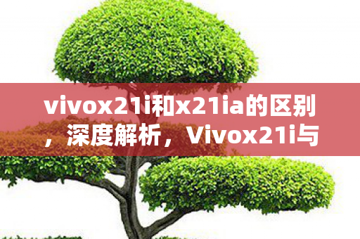 vivox21i和x21ia的区别，深度解析，Vivox21i与Vivox21的对比与差异