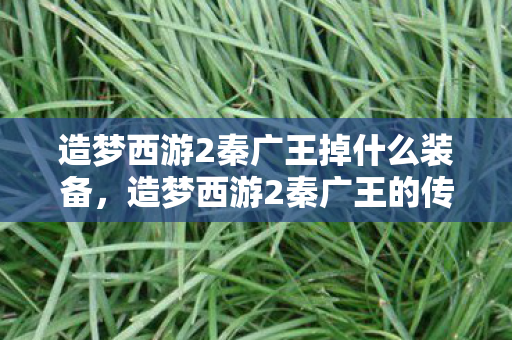 造梦西游2秦广王掉什么装备,造梦西游2秦广王的传奇故事 造梦西游2秦广王掉什么装备,造梦西游2秦广王的传奇故事