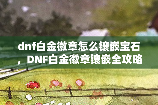 dnf白金徽章怎么镶嵌宝石，DNF白金徽章镶嵌全攻略，打造角色巅峰的必备技巧