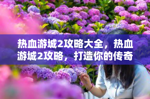 热血游城2攻略大全，热血游城2攻略，打造你的传奇之旅