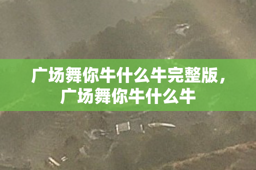 广场舞你牛什么牛完整版，广场舞你牛什么牛