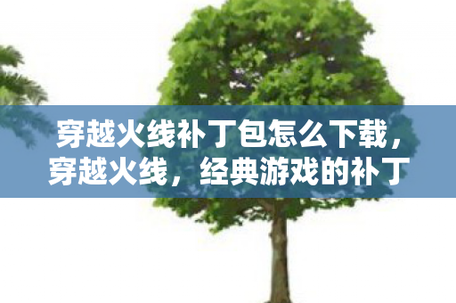 穿越火线补丁包怎么下载，穿越火线，经典游戏的补丁与社区文化