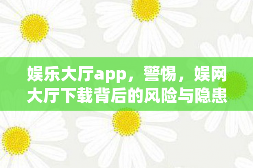 娱乐大厅app，警惕，娱网大厅下载背后的风险与隐患
