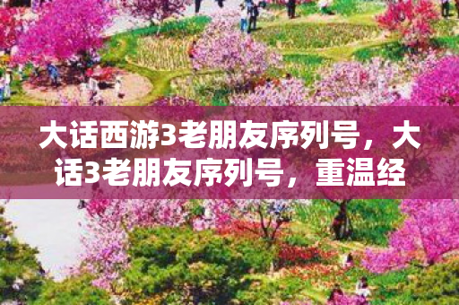 大话西游3老朋友序列号，大话3老朋友序列号，重温经典，再续前缘
