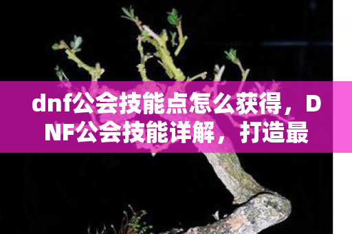 dnf公会技能点怎么获得，DNF公会技能详解，打造最强公会，提升战斗力的关键