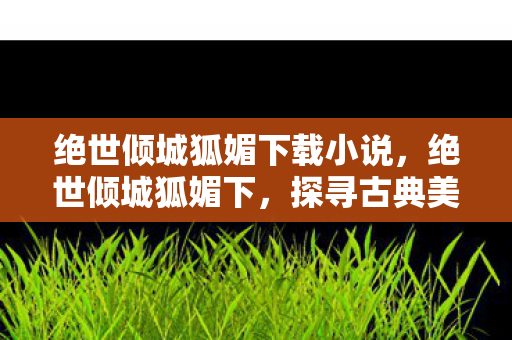 绝世倾城狐媚下载小说,绝世倾城狐媚下,探寻古典美学与现代文化的交融 绝世倾城狐媚下载小说,绝世倾城狐媚下,探寻古典美学与现代文化的交融