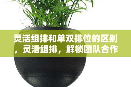 灵活组排和单双排位的区别，灵活组排，解锁团队合作的新模式