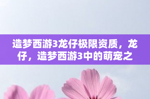 造梦西游3龙仔极限资质，龙仔，造梦西游3中的萌宠之星