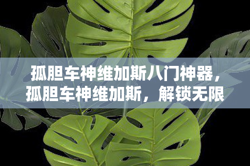 孤胆车神维加斯八门神器，孤胆车神维加斯，解锁无限可能的冒险之旅