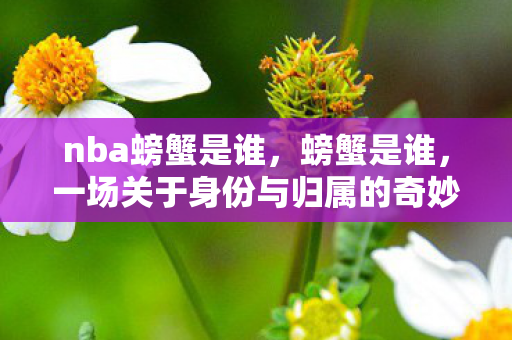 nba螃蟹是谁,螃蟹是谁,一场关于身份与归属的奇妙探索 nba螃蟹是谁,螃蟹是谁,一场关于身份与归属的奇妙探索