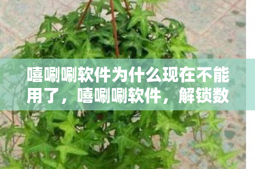 嘻唰唰软件为什么现在不能用了,嘻唰唰软件,解锁数字生活的便捷钥匙 嘻唰唰软件为什么现在不能用了,嘻唰唰软件,解锁数字生活的便捷钥匙