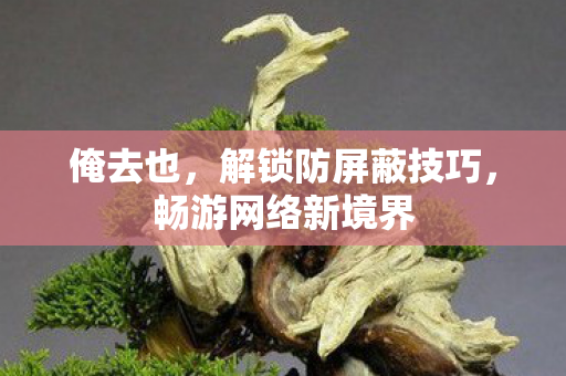 俺去也,解锁防屏蔽技巧,畅游网络新境界 俺去也,解锁防屏蔽技巧,畅游网络新境界