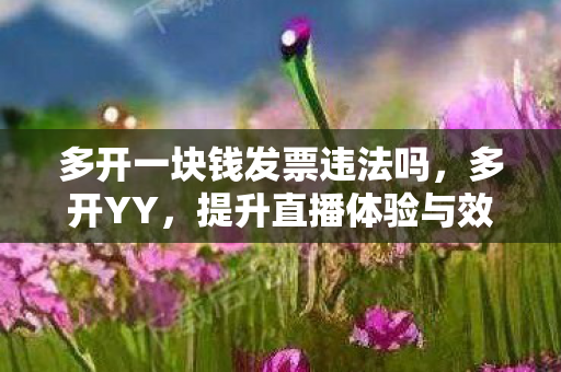 多开一块钱发票违法吗,多开YY,提升直播体验与效率的技巧 多开一块钱发票违法吗,多开YY,提升直播体验与效率的技巧