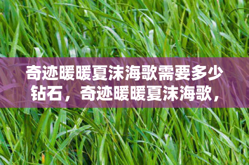 奇迹暖暖夏沫海歌需要多少钻石，奇迹暖暖夏沫海歌，一场梦幻的夏日盛宴