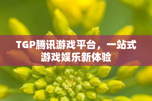 TGP腾讯游戏平台，一站式游戏娱乐新体验