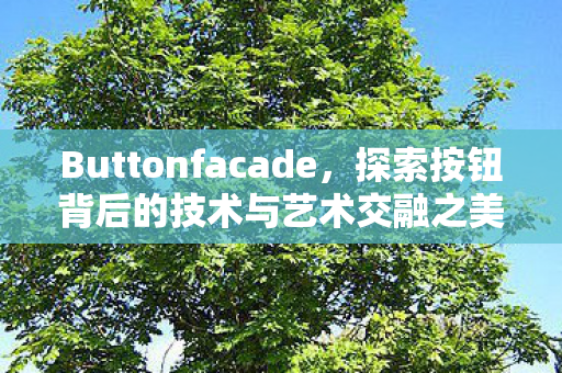 Buttonfacade，探索按钮背后的技术与艺术交融之美