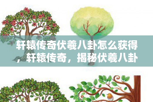 轩辕传奇伏羲八卦怎么获得，轩辕传奇，揭秘伏羲八卦的奥秘
