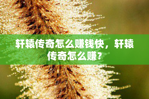 轩辕传奇怎么赚钱快，轩辕传奇怎么赚？