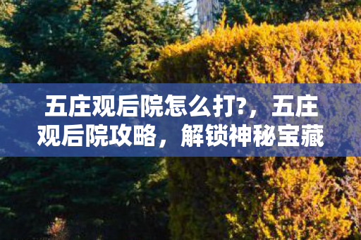 五庄观后院怎么打?，五庄观后院攻略，解锁神秘宝藏的秘诀