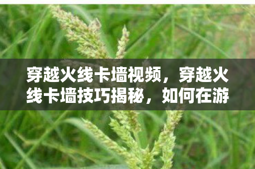 穿越火线卡墙视频，穿越火线卡墙技巧揭秘，如何在游戏中巧妙利用这一战术优势