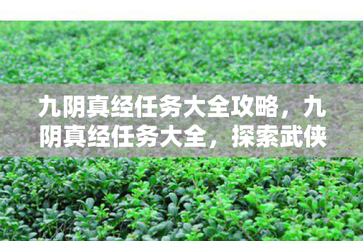 九阴真经任务大全攻略，九阴真经任务大全，探索武侠世界的奇妙旅程