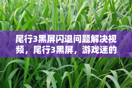 尾行3黑屏闪退问题解决视频，尾行3黑屏，游戏迷的困扰与解决之道