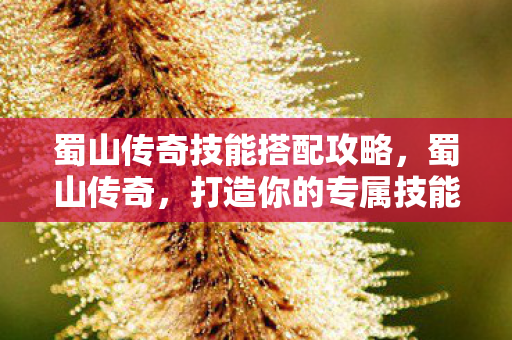 蜀山传奇技能搭配攻略,蜀山传奇,打造你的专属技能搭配 蜀山传奇技能搭配攻略,蜀山传奇,打造你的专属技能搭配