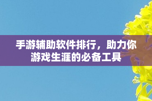 手游辅助软件排行，助力你游戏生涯的必备工具