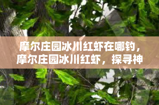 摩尔庄园冰川红虾在哪钓，摩尔庄园冰川红虾，探寻神秘海洋的美味佳肴