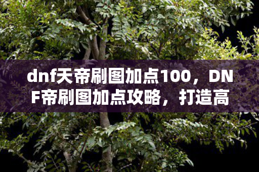 dnf天帝刷图加点100,DNF帝刷图加点攻略,打造高效战斗力的关键 dnf天帝刷图加点100,DNF帝刷图加点攻略,打造高效战斗力的关键