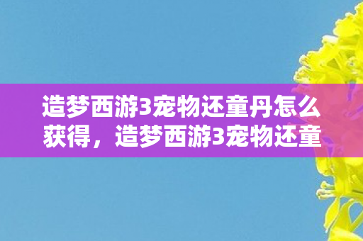 造梦西游3宠物还童丹怎么获得,造梦西游3宠物还童丹,重温经典,再启征程 造梦西游3宠物还童丹怎么获得,造梦西游3宠物还童丹,重温经典,再启征程