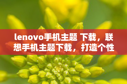 lenovo手机主题 下载，联想手机主题下载，打造个性化手机体验