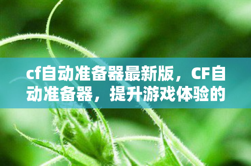 cf自动准备器最新版，CF自动准备器，提升游戏体验的利器？