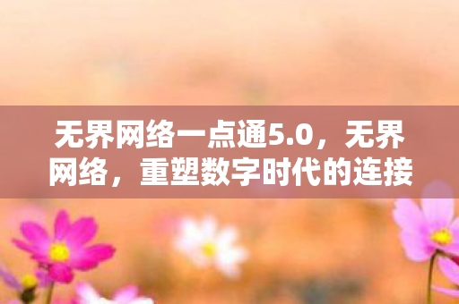无界网络一点通5.0，无界网络，重塑数字时代的连接与互动