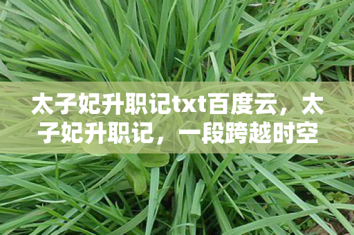 太子妃升职记txt百度云，太子妃升职记，一段跨越时空的宫廷奇缘