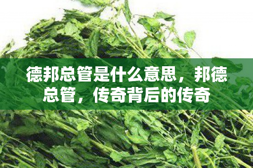 德邦总管是什么意思，邦德总管，传奇背后的传奇