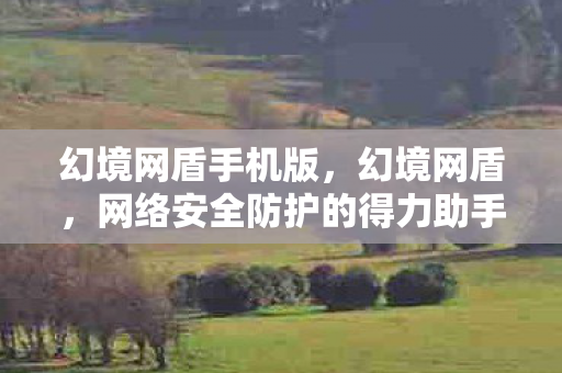 幻境网盾手机版，幻境网盾，网络安全防护的得力助手