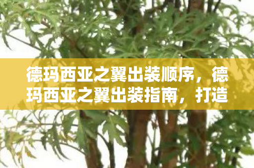 德玛西亚之翼出装顺序，德玛西亚之翼出装指南，打造最强攻速流ADC
