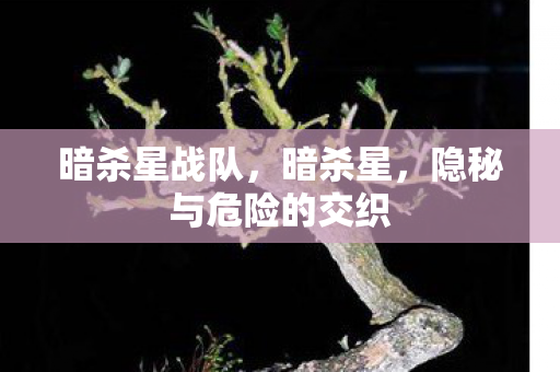 暗杀星战队，暗杀星，隐秘与危险的交织