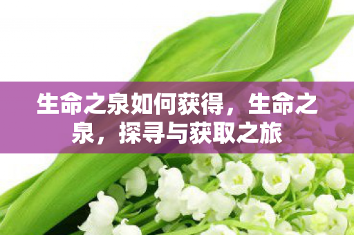 生命之泉如何获得，生命之泉，探寻与获取之旅