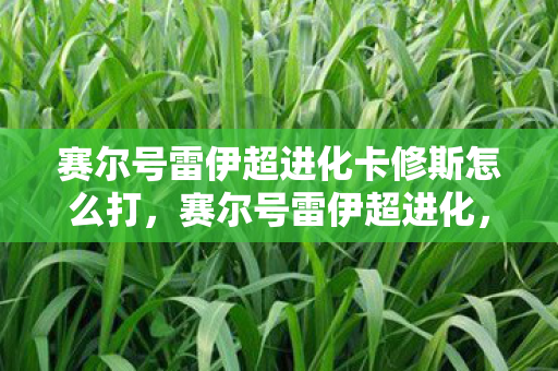 赛尔号雷伊超进化卡修斯怎么打，赛尔号雷伊超进化，传奇精灵的荣耀重生