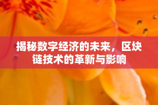 揭秘数字经济的未来，区块链技术的革新与影响