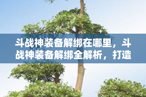 斗战神装备解绑在哪里，斗战神装备解绑全解析，打造自由交易的新时代