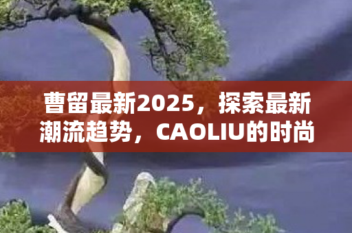 曹留最新2025，探索最新潮流趋势，CAOLIU的时尚密码