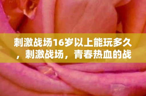 刺激战场16岁以上能玩多久，刺激战场，青春热血的战场，16岁少年的游戏人生新篇章