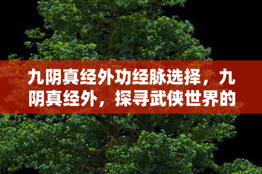 九阴真经外功经脉选择，九阴真经外，探寻武侠世界的奥秘