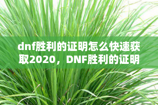 dnf胜利的证明怎么快速获取2020，DNF胜利的证明，解锁神器装备的关键