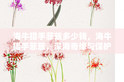 海牛猎手菲兹多少钱，海牛猎手菲兹，深海奇缘与保护使命